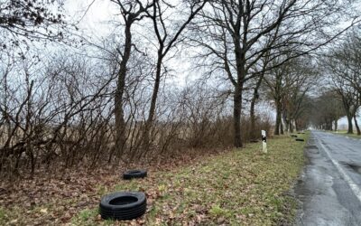 Illegale Müllentsorgung- Zeugen gesucht